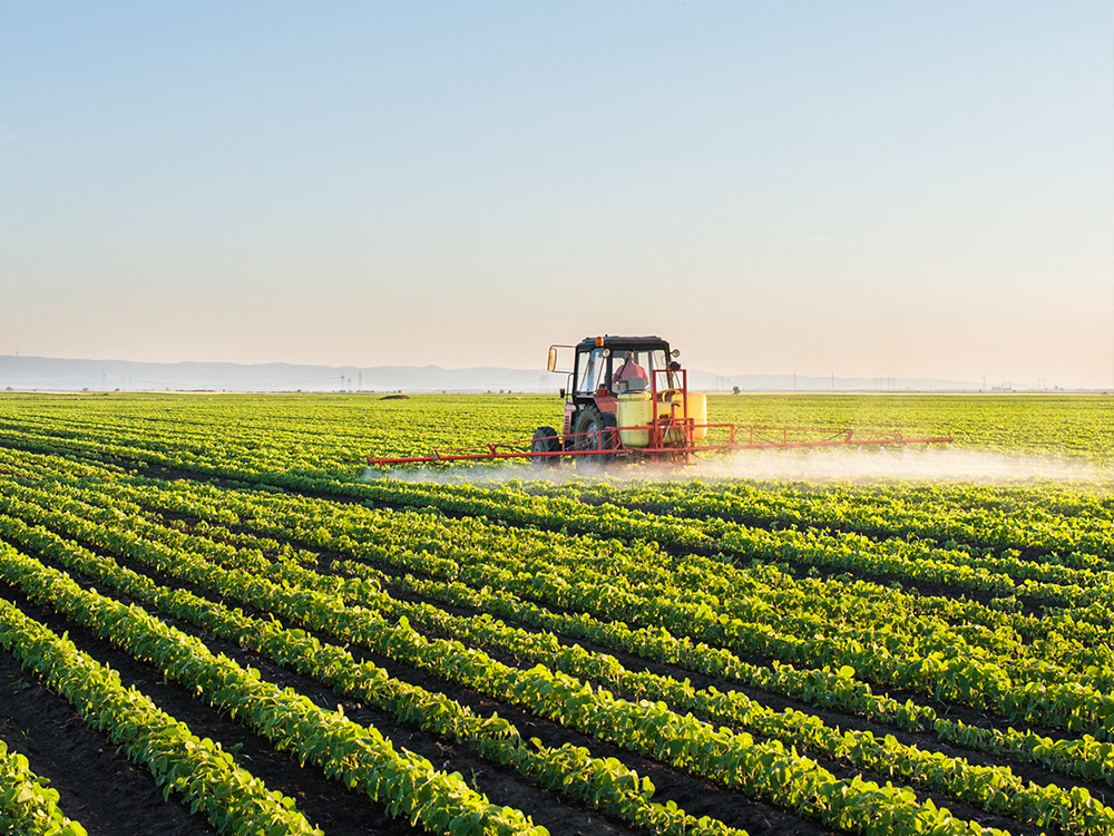 Pesticide Chemicals Pesticide Chemicals