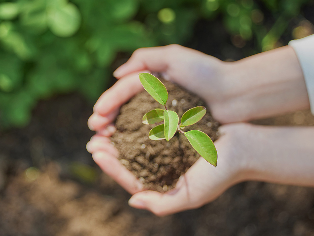 Environmental Protection Environmental Protection